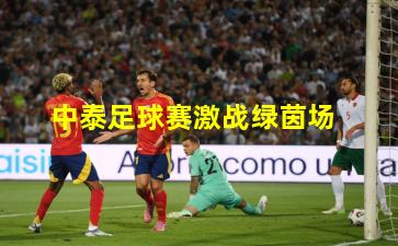 中泰足球赛激战绿茵场