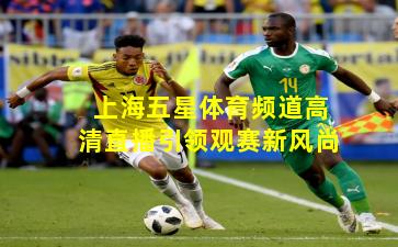 上海五星体育频道高清直播引领观赛新风尚