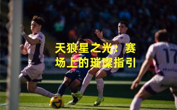 天狼星之光：赛场上的璀璨指引