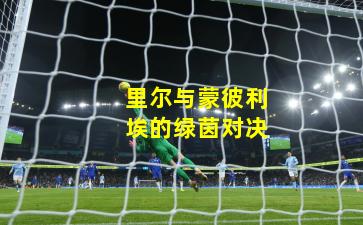 里尔与蒙彼利埃的绿茵对决