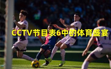CCTV节目表6中的体育盛宴