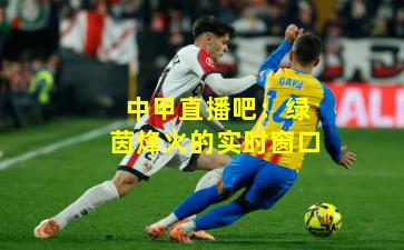 中甲直播吧:绿茵烽火的实时窗口